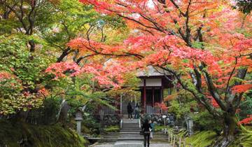 12-Day Highlights of Japan: Fall Colors(Join-in Group, 6-12 Pax) Tour