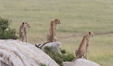 7 Day Thrilling Kenya Safari Expedition Tour