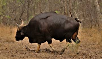 Circuito Circuito por el Patrimonio de la India con Aventura en la Naturaleza