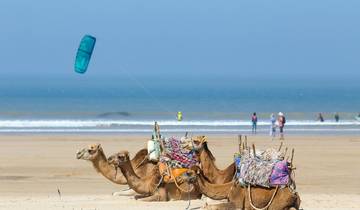 Explore Marrakech, the Atlas Mountains & Essaouira Tour