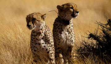 3-Day Sossusvlei Express Lodge Safari * DEPARTING SUNDAYS