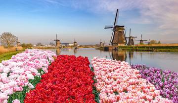 Flower Power in den Niederlanden Tour