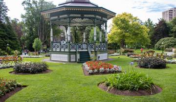 Mississippi River Odyssey