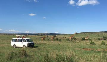 Elevate Your Safari Experience in 5 Unforgettable Days! Tour