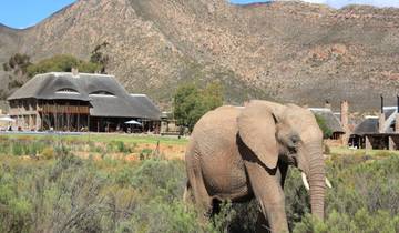 Klassiek Kaapstad & safari-rondreis