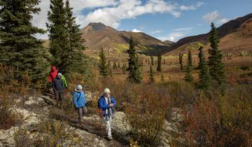 Yukon Explorer 11-day tour from Whitehorse Tour