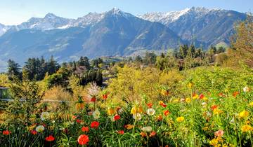 7 Days Alps Hiking, incl. Oberstdorf and Merano