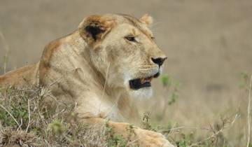 Découvrez les merveilles de Tsavo