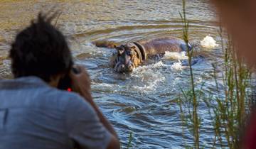 5 dagen safari in Tanzania