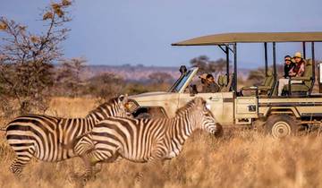 11-Day Luxury Cape Town, Kruger NP, Victoria Falls and Chobe National  Park (Unforgettable Experience) Tour