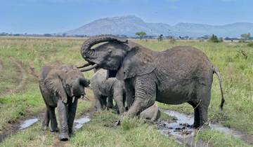 4 Days, 3 Nights Maasai Mara and Lake Nakuru National Park Kenya Group Joining Budget Safari