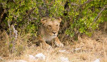 6 Day Dunes & Wildlife Lodge Safari * DEPARTING TUESDAY AND THURSDAY