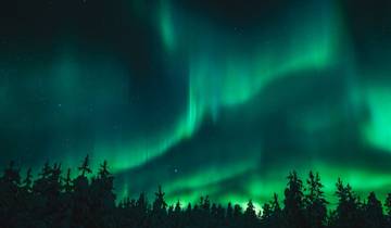 7-Day Whitehorse Aurora and Northern Lights Experience + Canadian Rockies Adventure