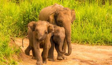 Sri Lanka Wildlife Rundreise