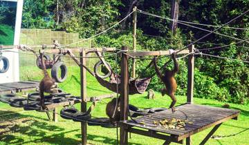 Malaysia Sarawak: Iban Longhouses & Wild orangutans (Private Custom)