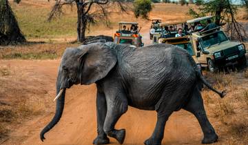 Beste 5 Tage Tansania Safari -: Startet in Arusha mit einem erfahrenen Reiseführer Rundreise