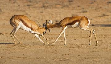 7 Days in Botswana, incl. Central Kalahari and Okavango Delta