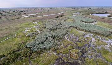 Kruger, Delta, Chobe & Falls - 14 days