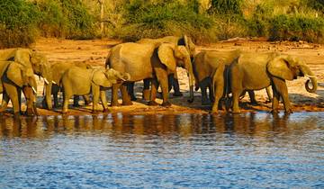 Kruger, Delta, Chobe & Falls - 14 days
