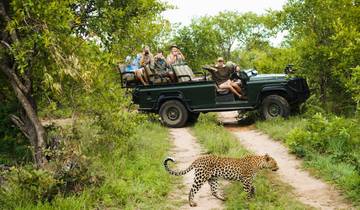 7 Days in South Africa & Zimbabwe, incl. Kruger and Victoria Falls