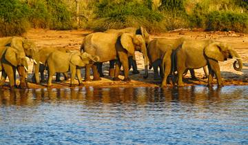 Okavango Wilderness Discovery - 7 Days