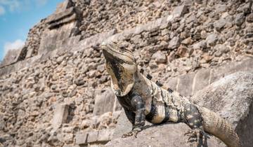 14 Days in Mexico, incl. Mexico City and Playa del Carmen