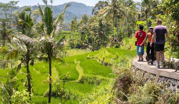 15 Day Bali & Lombok Itinerary, incl. Ubud and Gili Islands