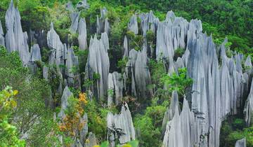 20 Day Borneo Itinerary, incl. Kuching and Sandakan