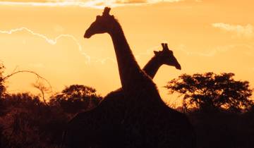 Experience Southern Africa (including Limpopo River) Tour