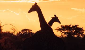 Experience Southern Africa (including Limpopo River) Tour