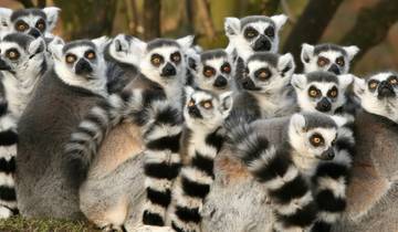 Madagascar Adventure (8 destinations) Tour
