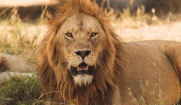 28 Day East Africa Itinerary, incl. Victoria Falls and Serengeti