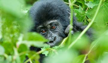 Remarkable Rwanda & Gorillas of Uganda (7 destinations)