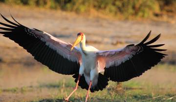 7 Day Botswana Itinerary, incl. Chobe National Park and Okavango Delta