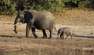 7 Day Botswana Itinerary, incl. Chobe National Park and Okavango Delta