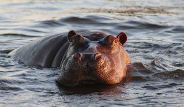 7 Day Botswana Itinerary, incl. Chobe National Park and Okavango Delta