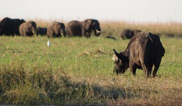 7 Day Botswana Itinerary, incl. Chobe National Park and Okavango Delta
