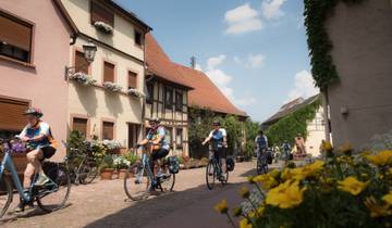 Deutschland: Von Aschaffenburg bis Bamberg mit dem Fahrrad (für die ganze Familie) Rundreise