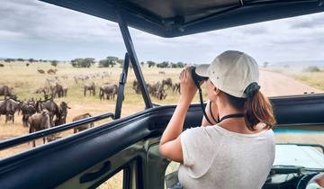 21 días de safari privado por el Monte Kenia, Ol Pejeta, Lago Nakuru, Puerta del Infierno, Maasai Mara, Amboseli, Tsavo y vacaciones en la playa de Diani