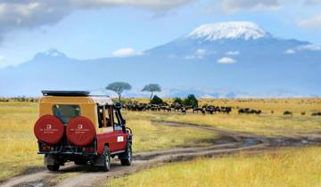 Safari de 1 jour à Amboseli circuit