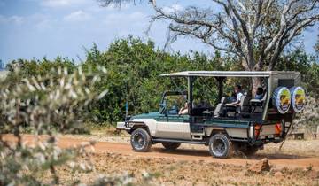 Ol Pejeta Conservancy Tages-Safari Rundreise