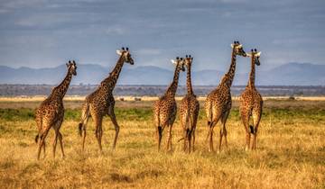 8-Day Kenya Group Joining Safari Tour