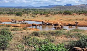 3 Day Amboseli Private Safari