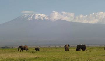3 Day Amboseli Private Safari