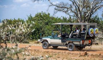 10 daagse safari in Kenia-rondreis