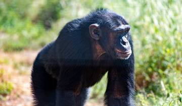 10 Day Kenya Safari Tour