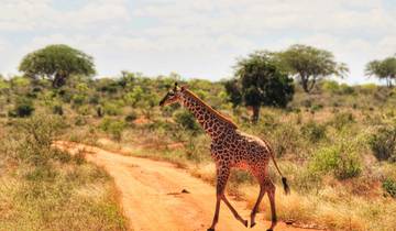 1 dagen Tsavo East National Park safari vanuit Diani-rondreis