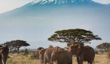 Amboseli de 3 días desde Mombasa