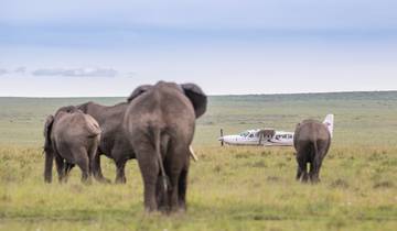 3 Day Olare Mara Kempinski Safari Tour