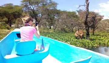 Safari de 6 jours au Kenya circuit